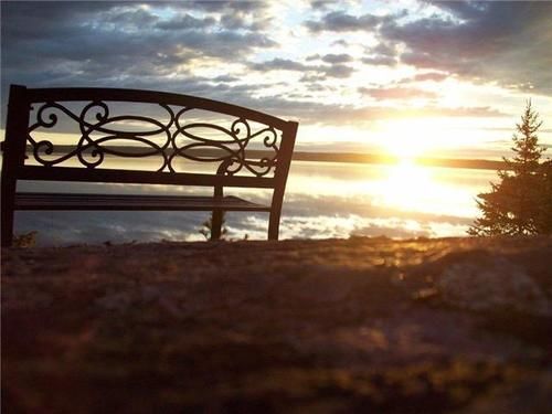 فندق إيدج ووتر موتل آند كامبجراوند Temiskaming Shores المظهر الخارجي الصورة